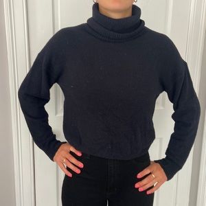 Aritzia Wilfred Free sweater